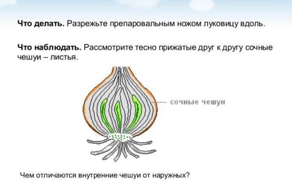 Сайт кракен что это такое